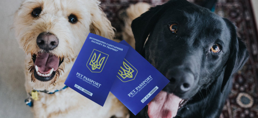 Восени в Україні планують запустити електронні ветпаспорти