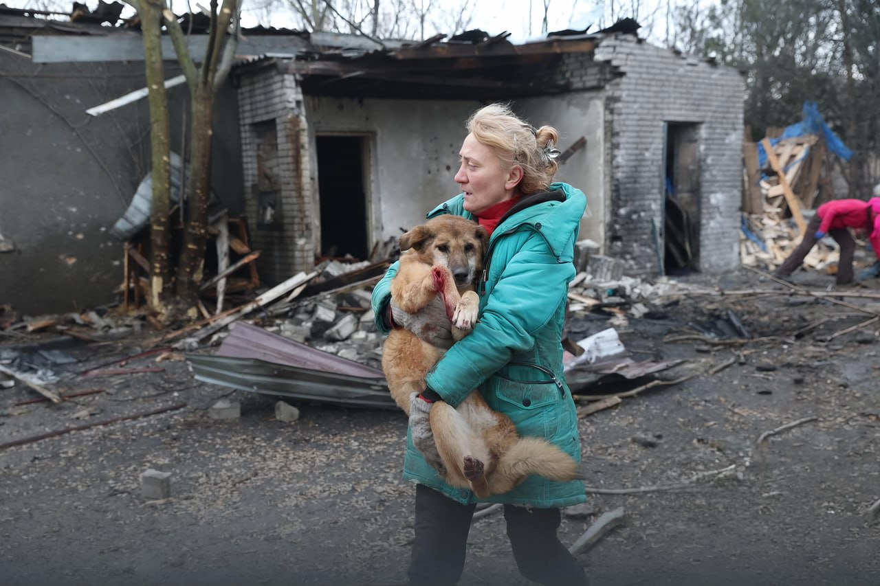 Удар по притулку: російські війська атакували «Дай лапу, друже» в Запоріжжі