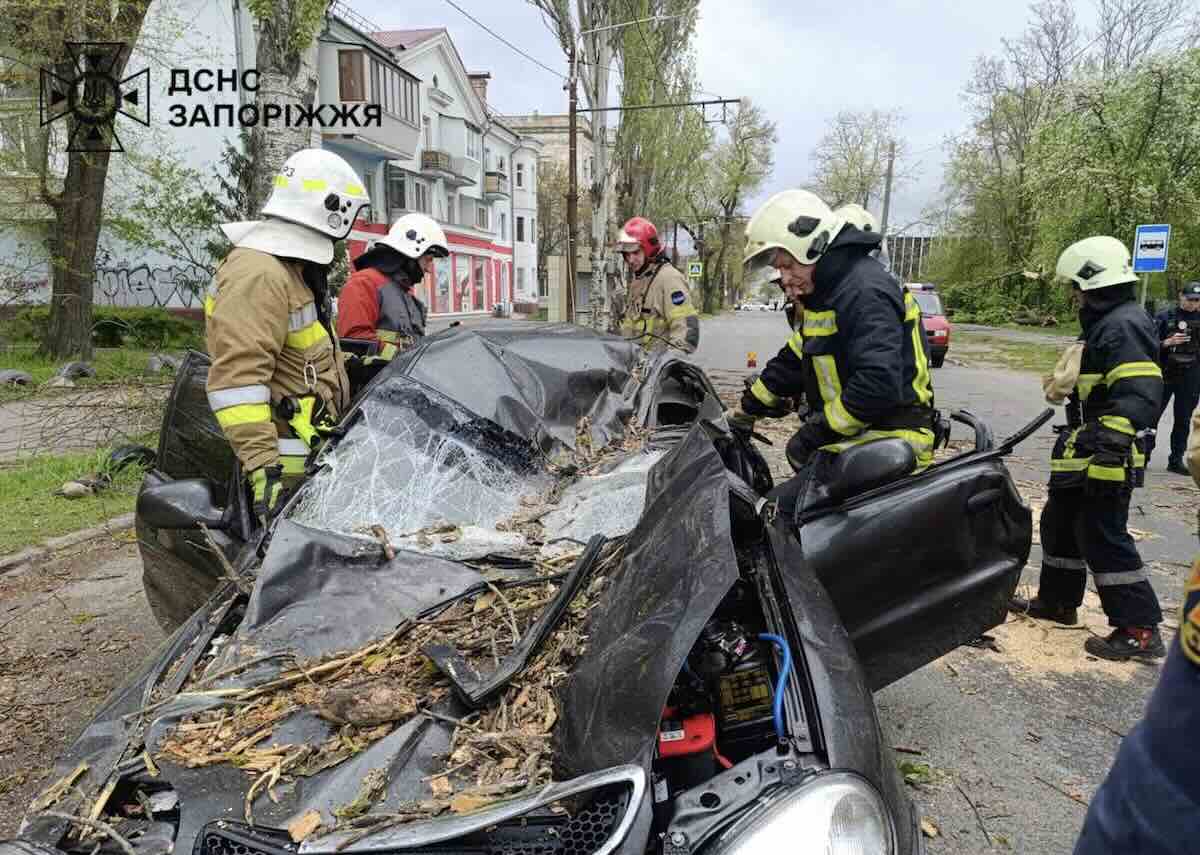 Штормовий вітер забрав життя трьох і знеструмив сотні сіл / Фото: відкриті джерела