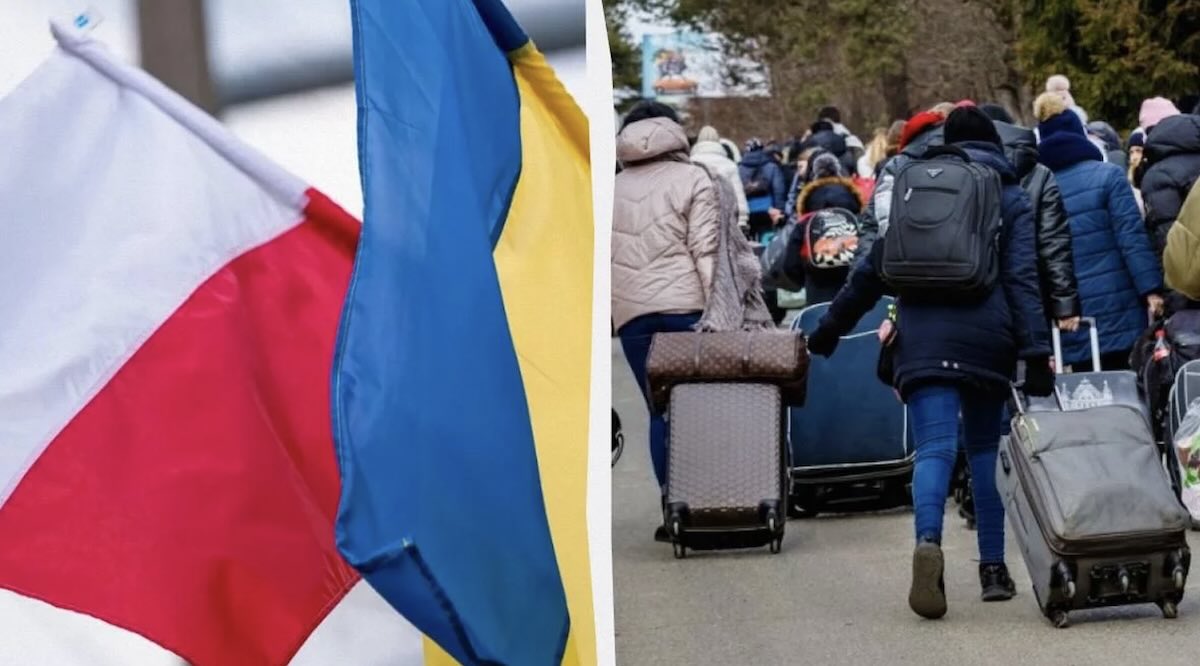 Галузі Польщі
