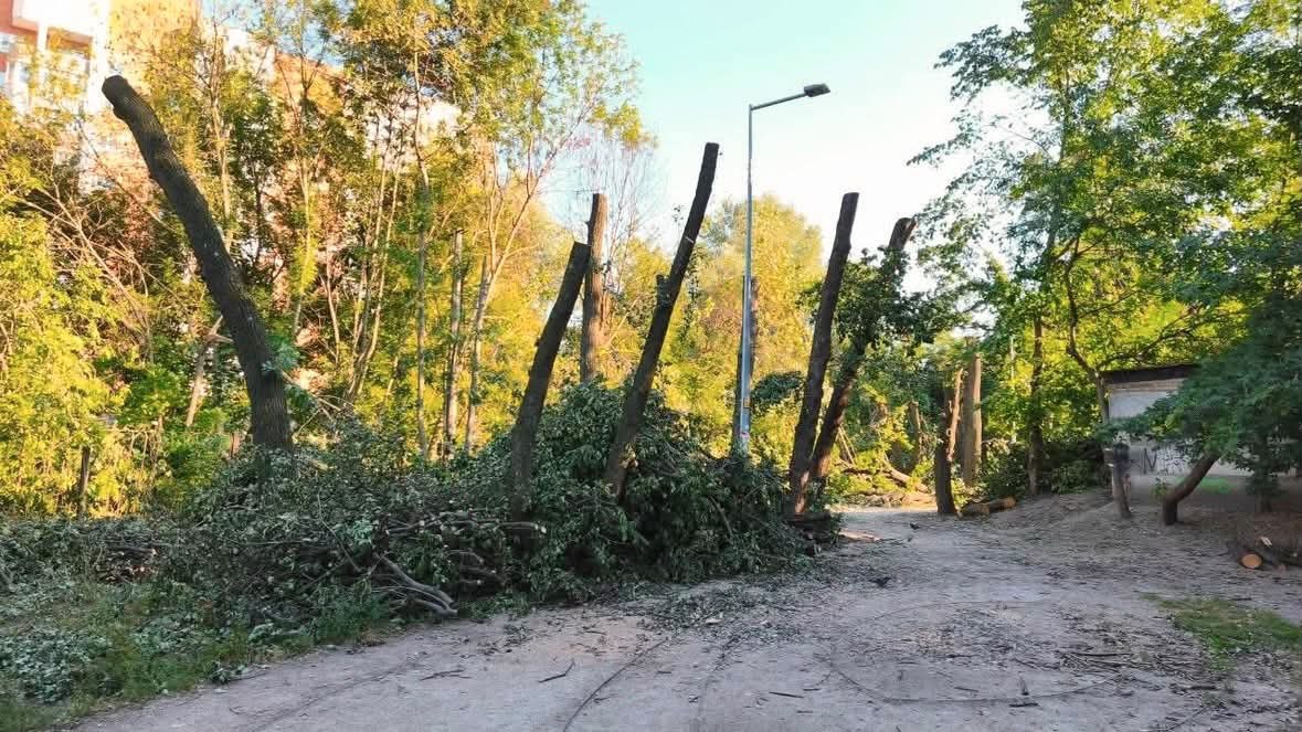 У КМДА пояснили вирубку дерев на Теремках необхідністю захистити район від втрати опалення